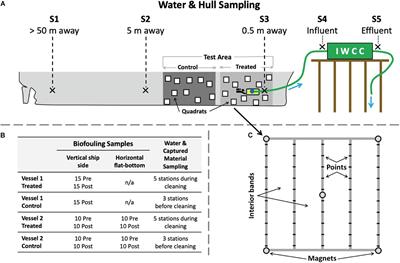 In-Water Cleaning and Capture to Remove Ship Biofouling: An Initial Evaluation of Efficacy and Environmental Safety